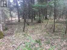 0 PT LT 13 CON 8 ROAD | Apsley Ontario | Slide Image Six