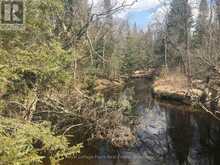 0 PT LT 13 CON 8 ROAD | Apsley Ontario | Slide Image Ten
