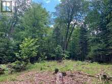 PT LT 66 NORTH DRIVE | Haliburton Ontario | Slide Image Ten
