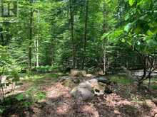 PT LT 66 NORTH DRIVE | Haliburton Ontario | Slide Image Eleven