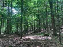 PT LT 66 NORTH DRIVE | Haliburton Ontario | Slide Image Thirteen