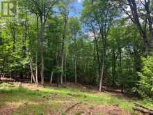 PT LT 66 NORTH DRIVE | Haliburton Ontario | Slide Image Four