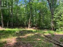 PT LT 66 NORTH DRIVE | Haliburton Ontario | Slide Image Five