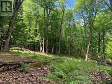 PT LT 66 NORTH DRIVE | Haliburton Ontario | Slide Image Seven