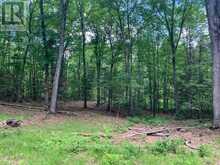 PT LT 66 NORTH DRIVE | Haliburton Ontario | Slide Image Eight