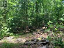 PT LT 66 NORTH DRIVE | Haliburton Ontario | Slide Image Nine
