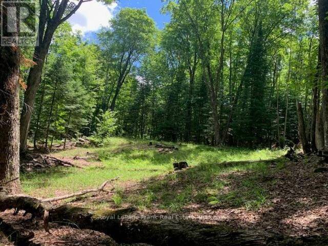 PT LT 66 NORTH DRIVE Haliburton Ontario, K0M 1S0 - Vacant Land For Sale