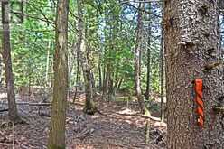 707 S DUMMER 8TH LINE ROAD | Asphodel-Norwood Ontario | Slide Image Twelve