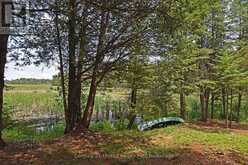 707 S DUMMER 8TH LINE ROAD | Asphodel-Norwood Ontario | Slide Image Sixteen