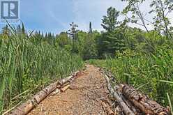 707 S DUMMER 8TH LINE ROAD | Asphodel-Norwood Ontario | Slide Image Seventeen