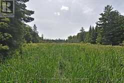 707 S DUMMER 8TH LINE ROAD | Asphodel-Norwood Ontario | Slide Image Nineteen