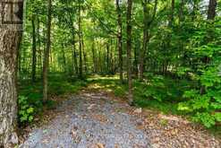 143 MARBLE POINT ROAD | Marmora Ontario | Slide Image Two