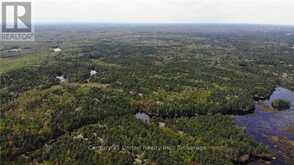 LT 9 N 1/2 LT 10 CON 13 | Kawartha Lakes Ontario | Slide Image One