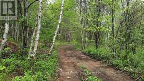 LT 9 N 1/2 LT 10 CON 13 | Kawartha Lakes Ontario | Slide Image Three