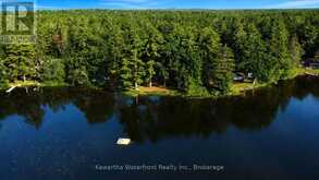 388 NORTH SHORE ROAD | Kawartha Lakes Ontario | Slide Image Three