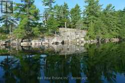 239 FIRE ROUTE 52 | Apsley Ontario | Slide Image Six