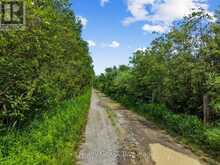 2487 BLEZARD LINE | Douro-Dummer Ontario | Slide Image Twelve