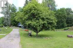 3994 COUNTY ROAD 620 | Apsley Ontario | Slide Image Thirteen