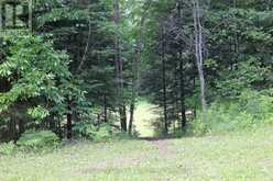 3994 COUNTY ROAD 620 | Apsley Ontario | Slide Image Twenty-six
