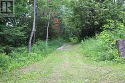 3994 COUNTY ROAD 620 | Apsley Ontario | Slide Image Twenty-eight