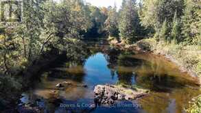 3994 COUNTY ROAD 620 | Apsley Ontario | Slide Image Forty-nine