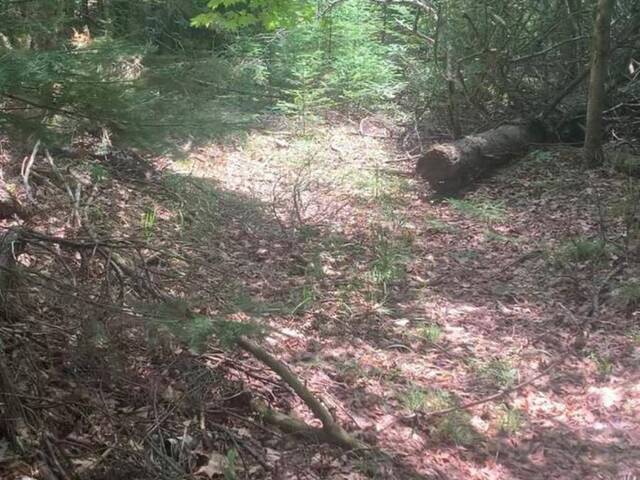 N/A HIGHWAY 28 (NORTH LOT) Bancroft Ontario, K0L 1C0 - Vacant Land For Sale