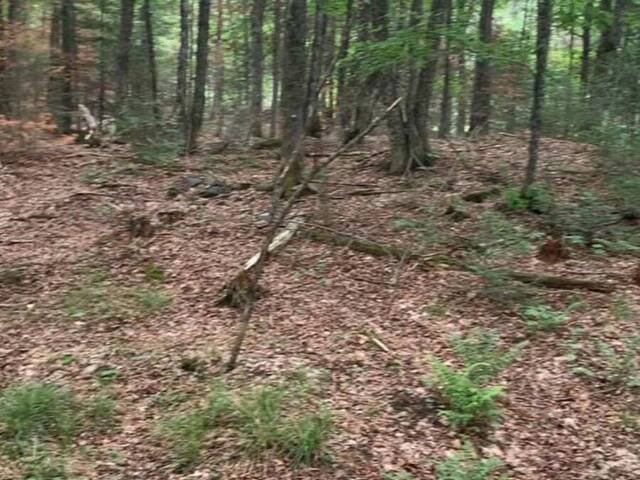 N/A HIGHWAY 28 (SOUTH LOT) Bancroft Ontario, K0L 1C0 - Vacant Land For Sale