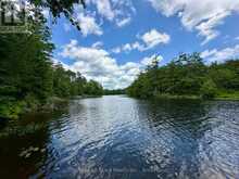 222 MISSISSAGUA DAM ROAD | North Kawartha Ontario | Slide Image Thirty-seven