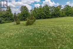 5035 BLESSINGTON ROAD | Tyendinaga Ontario | Slide Image Thirteen