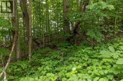 5035 BLESSINGTON ROAD | Tyendinaga Ontario | Slide Image Six