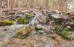 2269 MCCRACKEN'S LANDING ROAD | North Kawartha Ontario | Slide Image Forty