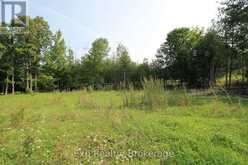 6906 HIGHWAY 41 HIGHWAY | Stone Mills Ontario | Slide Image Ten