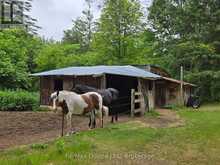 690 POTTER SETTLEMENT ROAD | Tweed Ontario | Slide Image Thirteen
