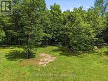 11828 ROAD 38 | Central Frontenac Ontario | Slide Image Thirty-eight