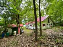 38 DEWEY'S ISLAND | Fenelon Falls Ontario | Slide Image Thirty-one
