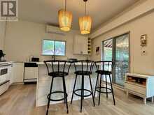 38 DEWEY'S ISLAND | Fenelon Falls Ontario | Slide Image Six