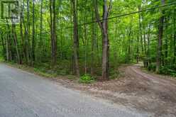 0 MILL LINE ROAD | Bobcaygeon Ontario | Slide Image Eleven