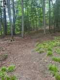 4 HARMONIOUS DRIVE | Fenelon Falls Ontario | Slide Image Four