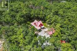 2990 COUNTY ROAD 36 | North Kawartha Ontario | Slide Image Thirty-eight