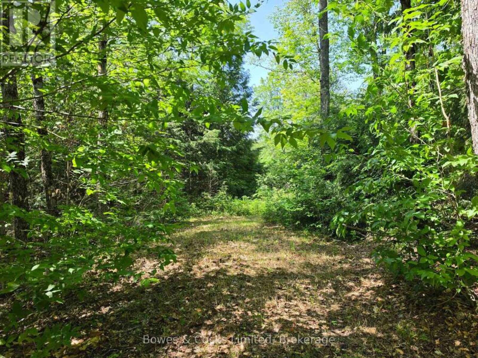 1160 BALMER ROAD, Apsley, Ontario K0L 1A0