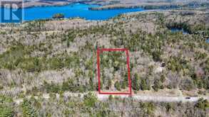 1160 BALMER ROAD | Apsley Ontario | Slide Image Twelve