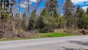1160 BALMER ROAD | Apsley Ontario | Slide Image Thirteen