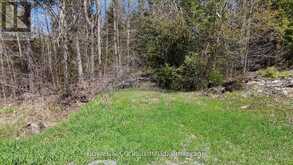 1160 BALMER ROAD | Apsley Ontario | Slide Image Fourteen