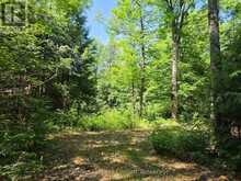 1160 BALMER ROAD | Apsley Ontario | Slide Image Two