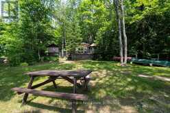 24 FIRE ROUTE 306 | North Kawartha Ontario | Slide Image Twenty-nine