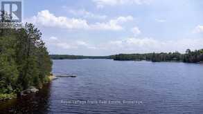 24 FIRE ROUTE 306 | North Kawartha Ontario | Slide Image Thirty