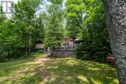 24 FIRE ROUTE 306 | North Kawartha Ontario | Slide Image Eight