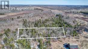 0 CENTRE LINE ROAD | Marmora Ontario | Slide Image Three