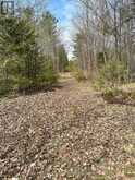 2981 COUNTY ROAD 44 | Havelock-Belmont-Methuen Ontario | Slide Image Ten