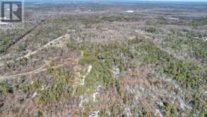 2981 COUNTY ROAD 44 | Havelock-Belmont-Methuen Ontario | Slide Image Sixteen